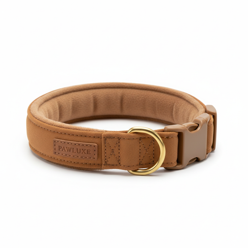 Dog-Friendly Comfort Collar in earthy tone on white background